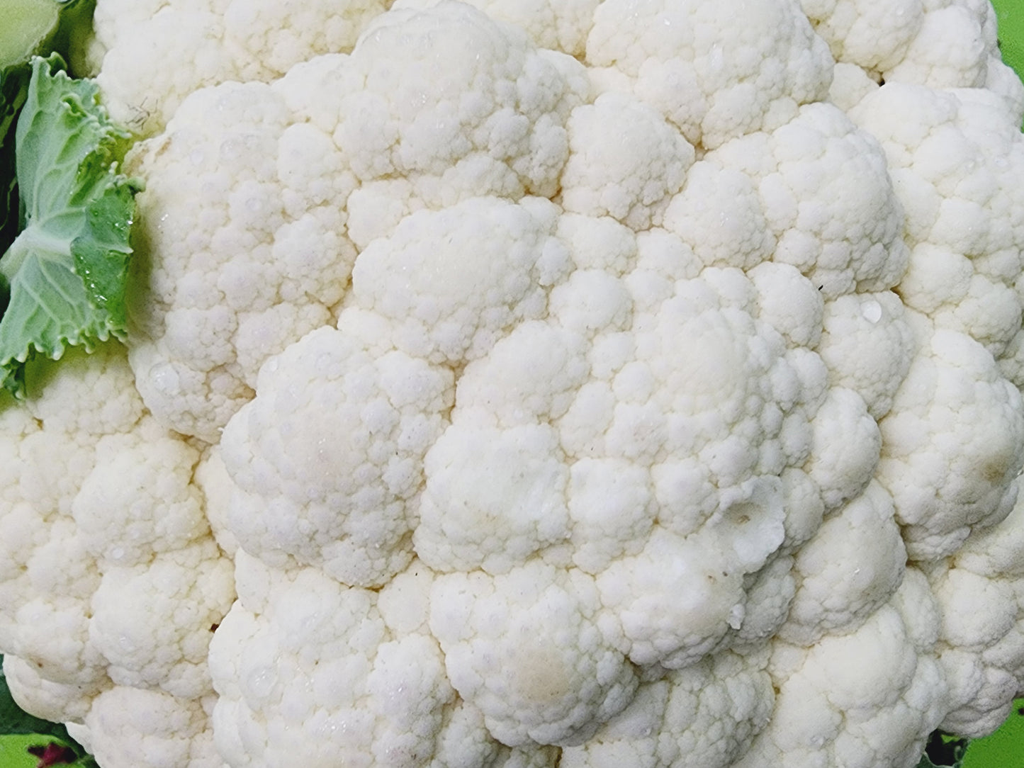 Snowball Y Improved White Cauliflower Seeds