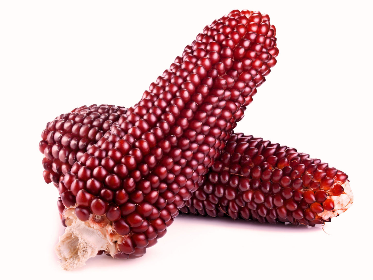 Strawberry Popcorn Heirloom Garden Corn Vegetable Seeds