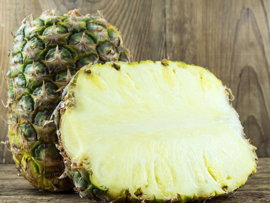 Sugarloaf White Pineapple LIVE Plant