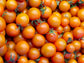 Sungold Hybrid Cherry Tomato Seeds