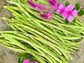 Thai Soldier Long Bean Seeds