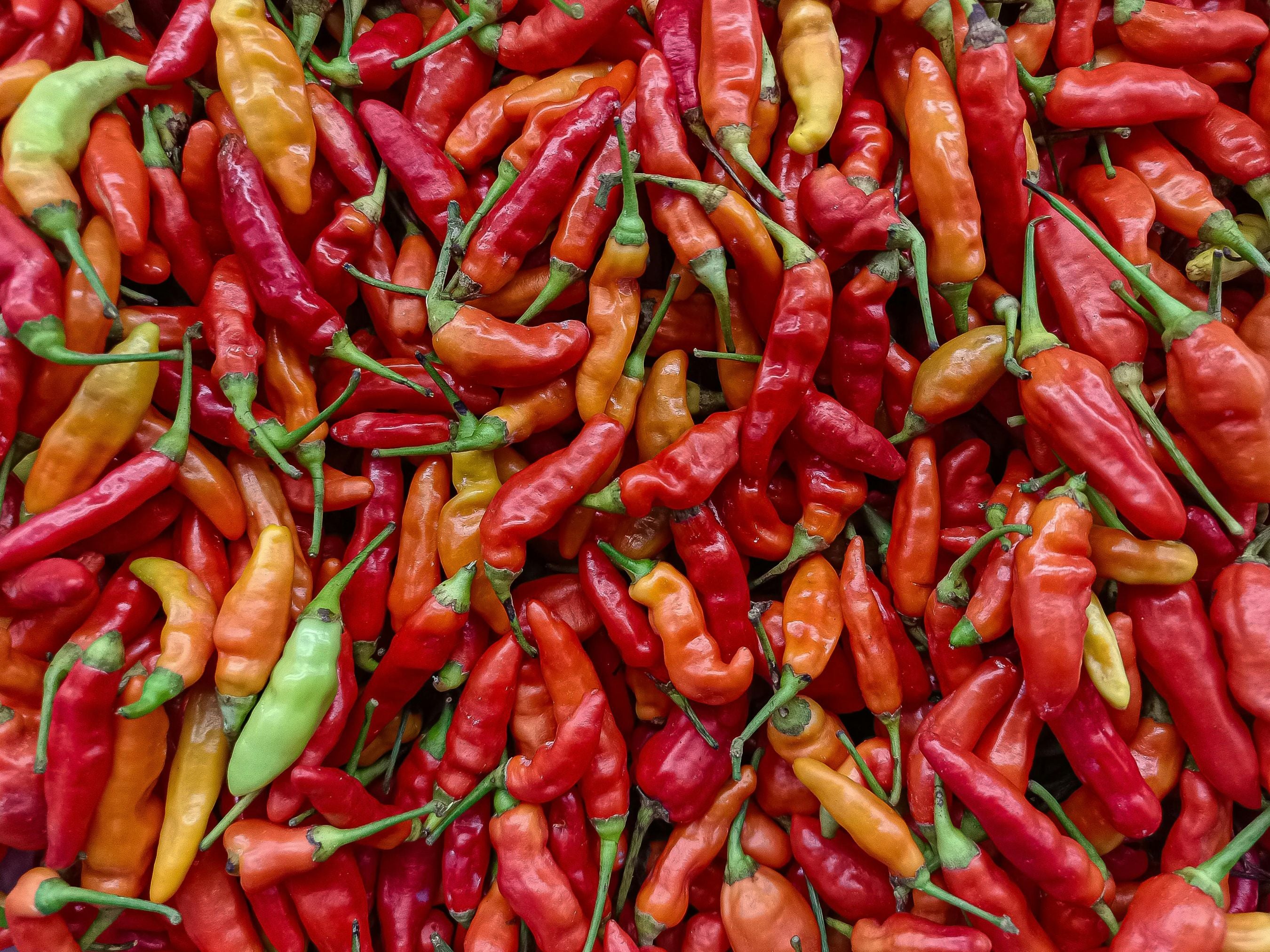 Tabasco Pepper Seeds – Classic Hot Sauce Pepper Variety – Jerra's Garden