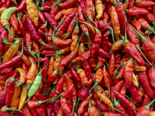 Tabasco Pepper Seeds