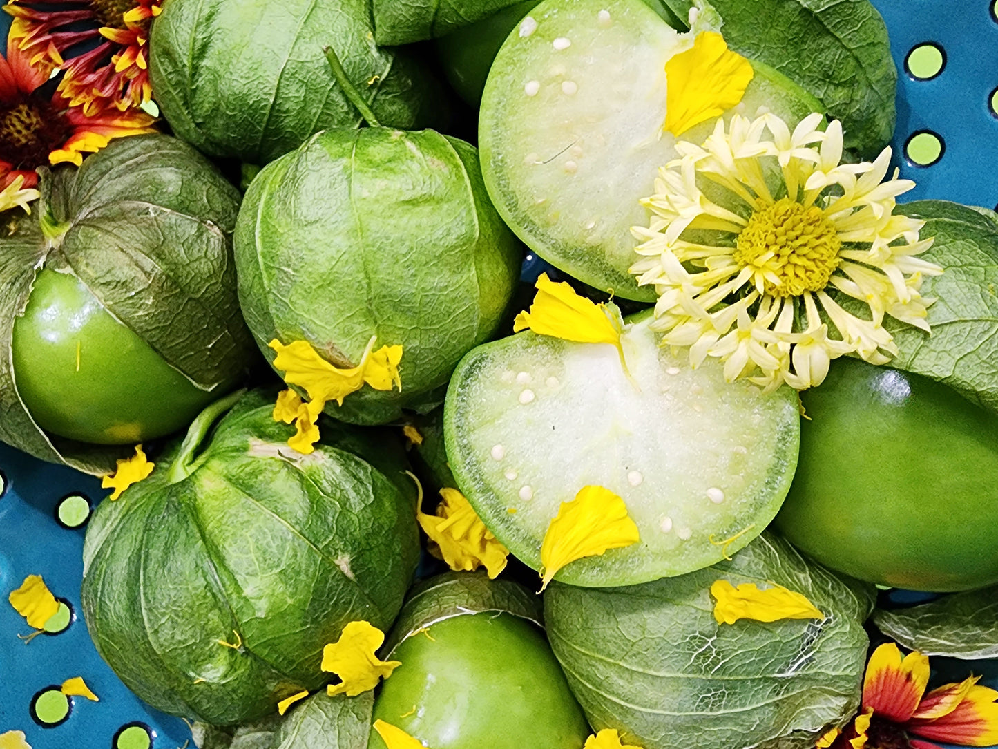 Early Green Tomatillo Seeds