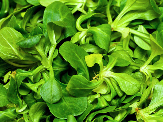 Watercress Leafy Greens Seeds