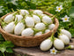 White Egg Japanese Eggplant Seeds