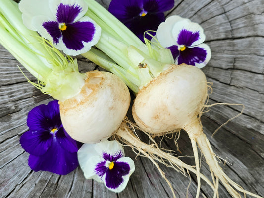 White Egg Turnip Seeds