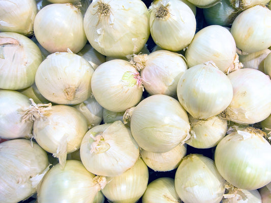 White Sweet Spanish Long Day Onion Seeds