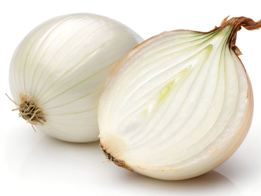 White Sweet Spanish Long Day Onion Seeds