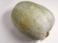 Giant Winter Melon / Wax Gourd / Tong Gua Seeds