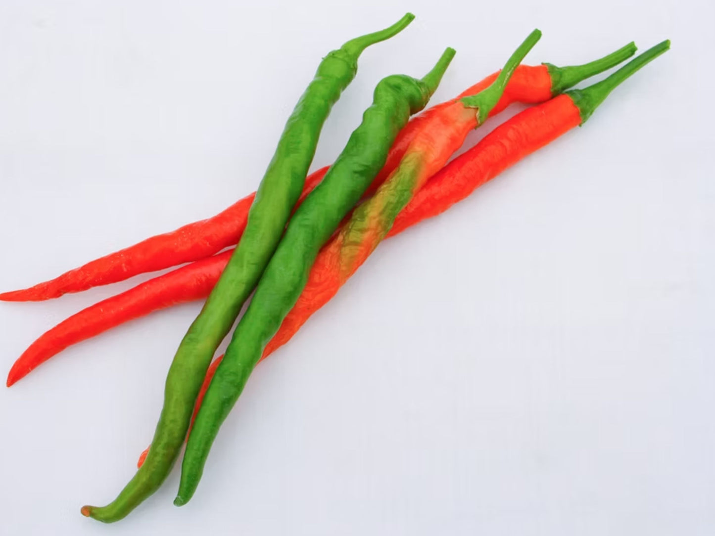 Witch Stick Hybrid Japanese Hot Pepper Seeds
