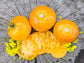 Yellow Genovese Rare Tomato Seeds