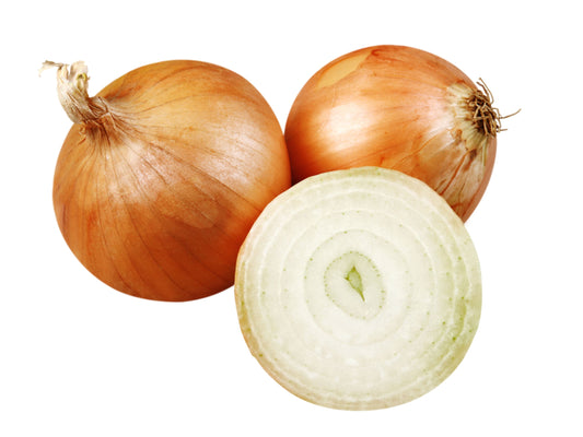 Yellow Sweet Spanish Long Day Onion Seeds