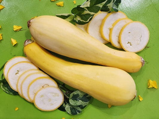 Yellow Crookneck Squash Seeds