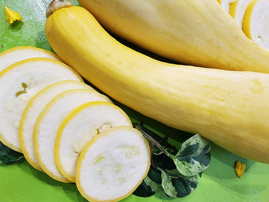 Yellow Crookneck Squash Seeds
