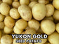Yukon Gold Seed Potatoes for Planting