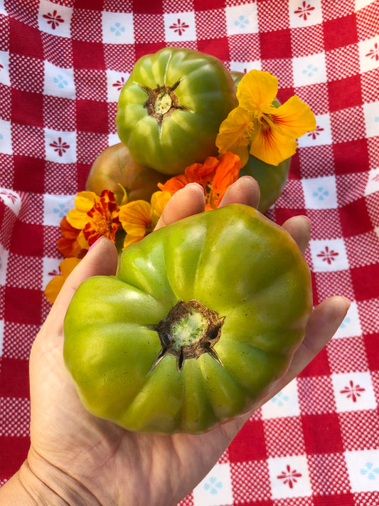 Ananas Noire Tomato Seeds