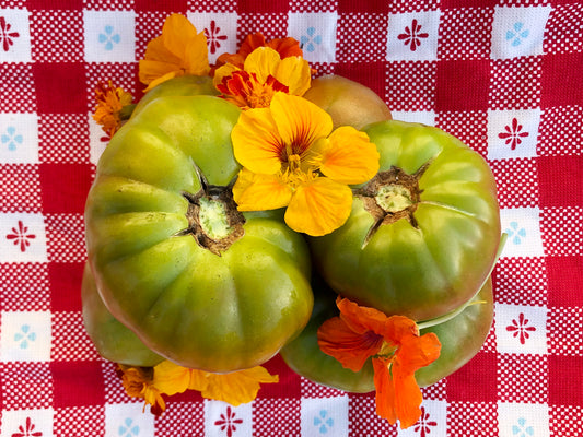 Ananas Noire Tomato Seeds