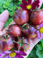 Black Strawberry Cherry Tomato