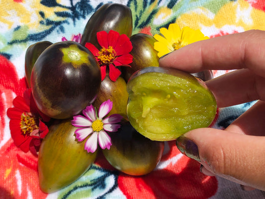 Brad's Atomic Grape Cherry Tomato Seeds