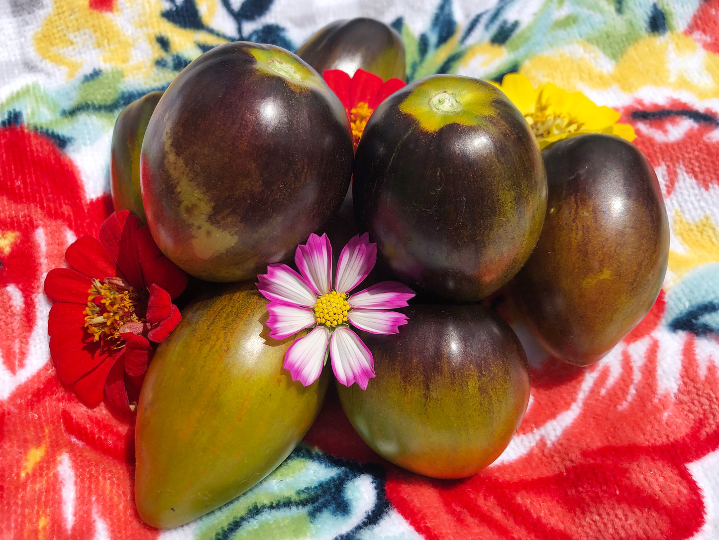 Brad's Atomic Grape Cherry Tomato Seeds