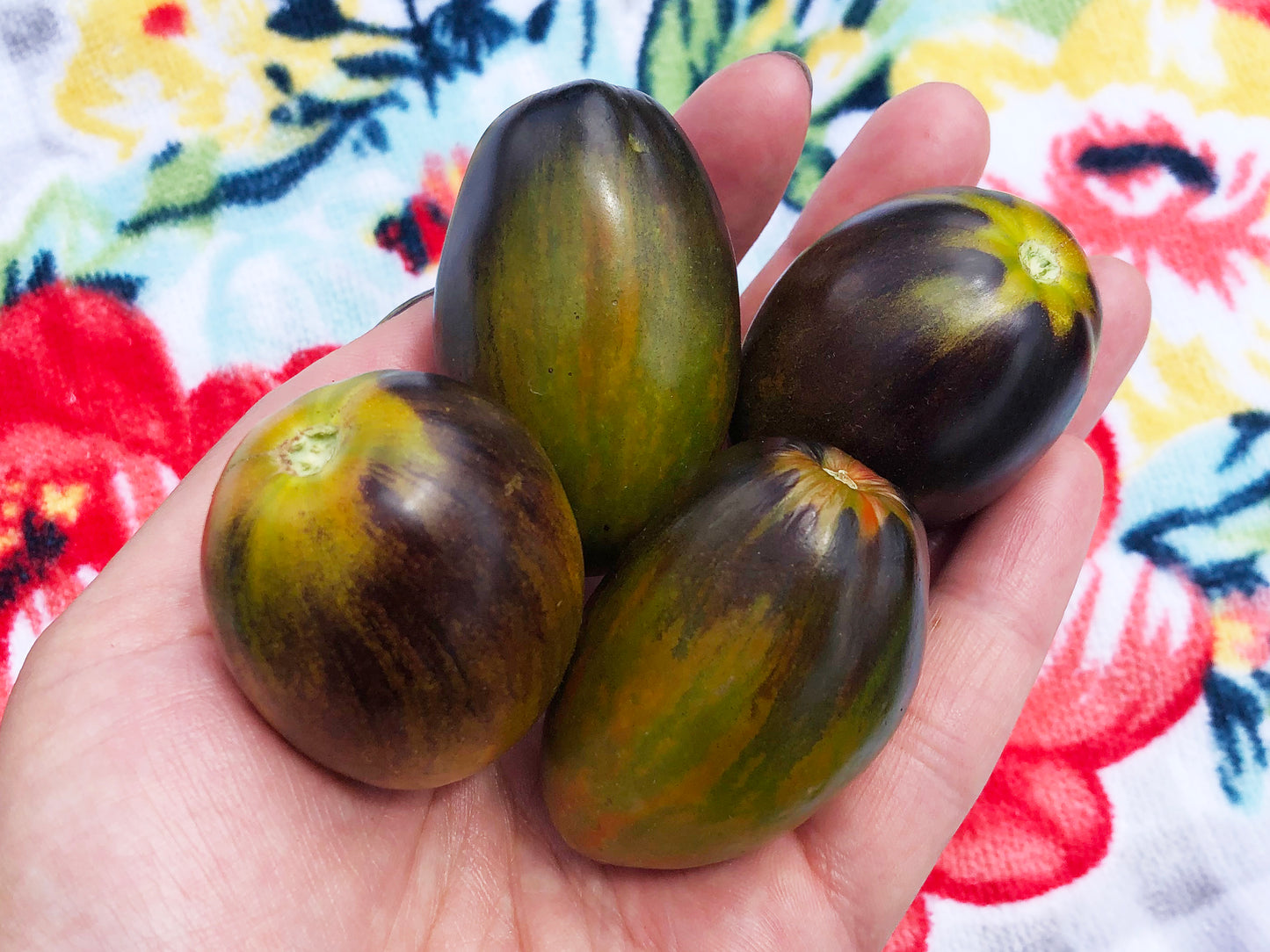 Brad's Atomic Grape Cherry Tomato Seeds