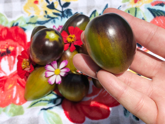 Brad's Atomic Grape Cherry Tomato Seeds