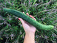China Jade Cucumber Seeds