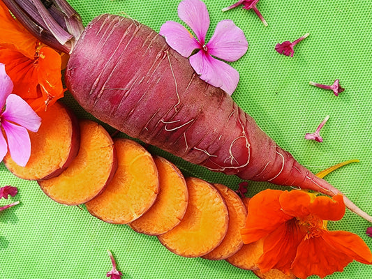 Cosmic Purple Carrot Seeds