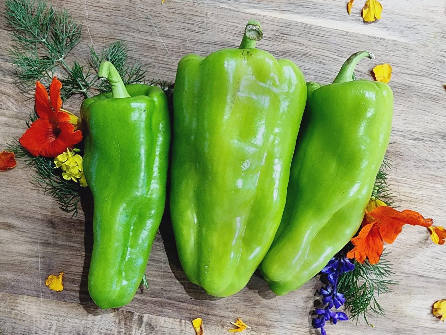 Cubanelle Sweet Pepper Seeds