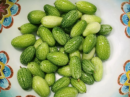 Cucamelon aka Mouse Melon Seeds