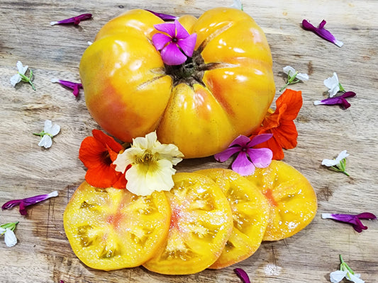Dwarf Suzy's Beauty Beefsteak Tomato