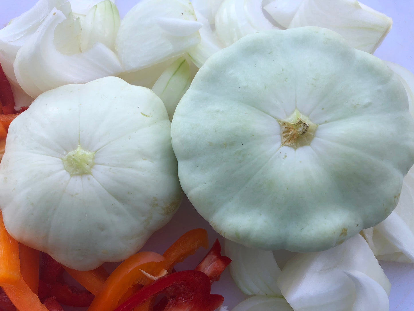 Early White Patty Pan Squash Seeds