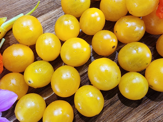 Galapagos Yellow Currant Tomato Seeds