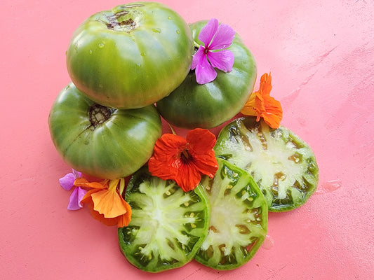 Green Giant Beefsteak Tomato