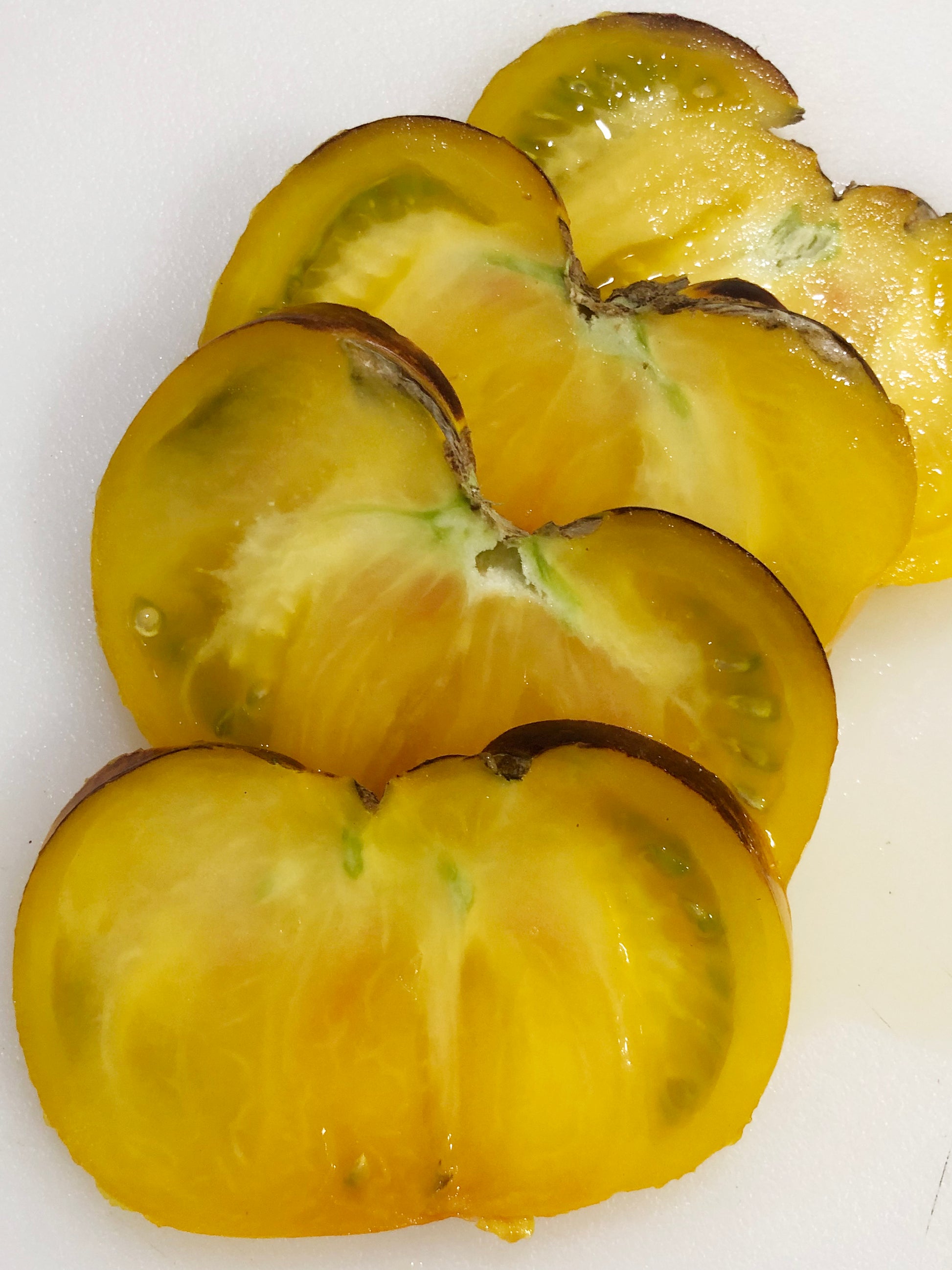 garden gem tomato seeds Lucid Gem Tomato Seeds