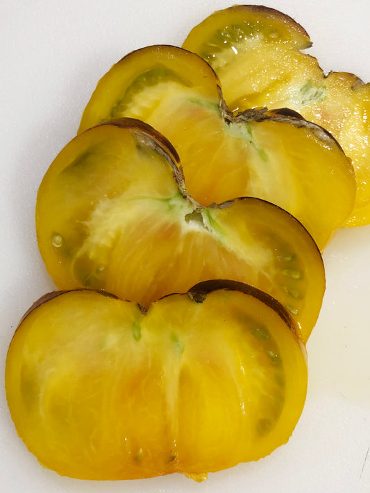 Lucid Gem Tomato