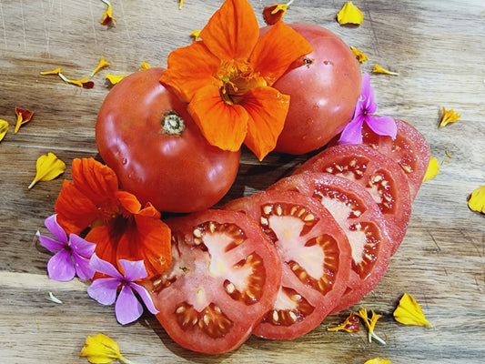 Nepal Tomato