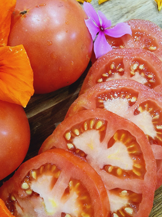 Nepal Tomato