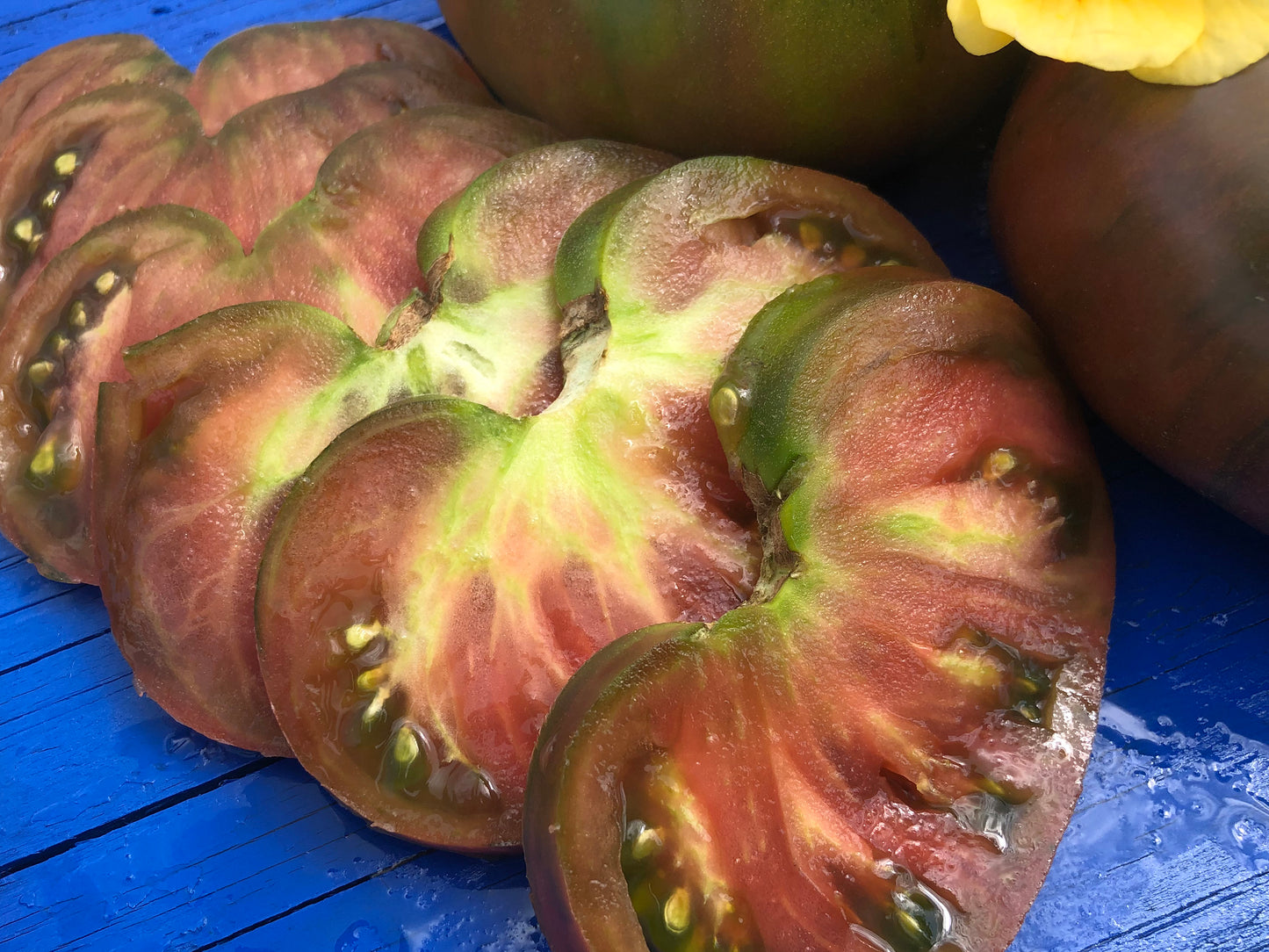 Owens Purple Beefsteak Tomato Seeds