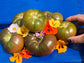 Owens Purple Beefsteak Tomato Seeds