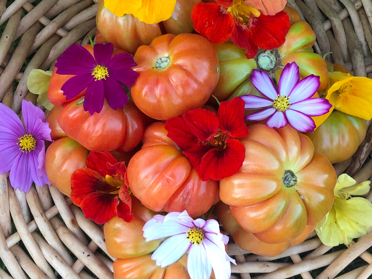 Paros Fluted Greek Tomato