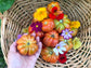Paros Fluted Greek Tomato