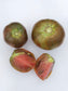 Paul Robeson Tomato