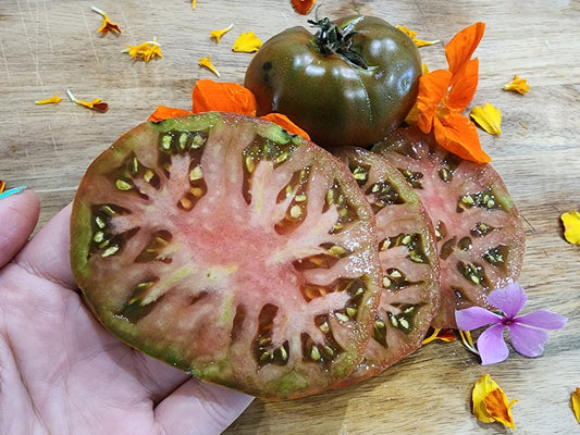 Paul Robeson Tomato