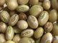 Pigeon Peas aka Guandules Seeds