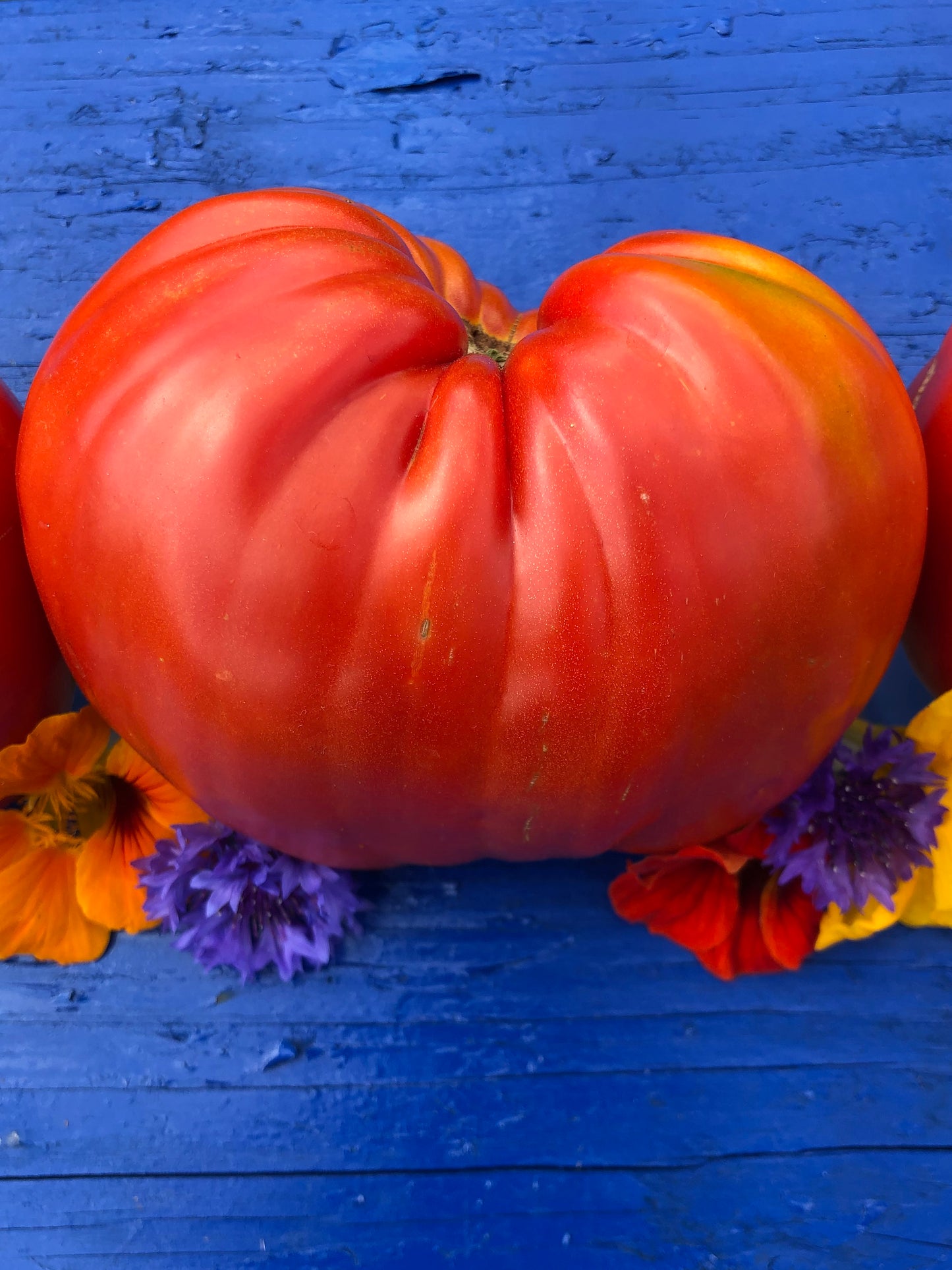 Pomodoro Cuore Antico di Acqui Terme Tomato