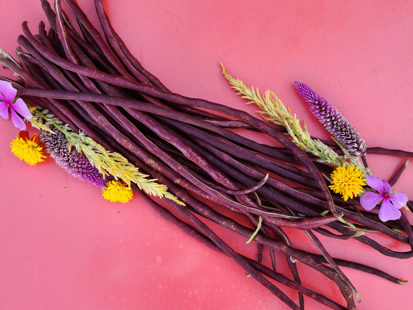 Red Noodle Yard Long Bean Seeds