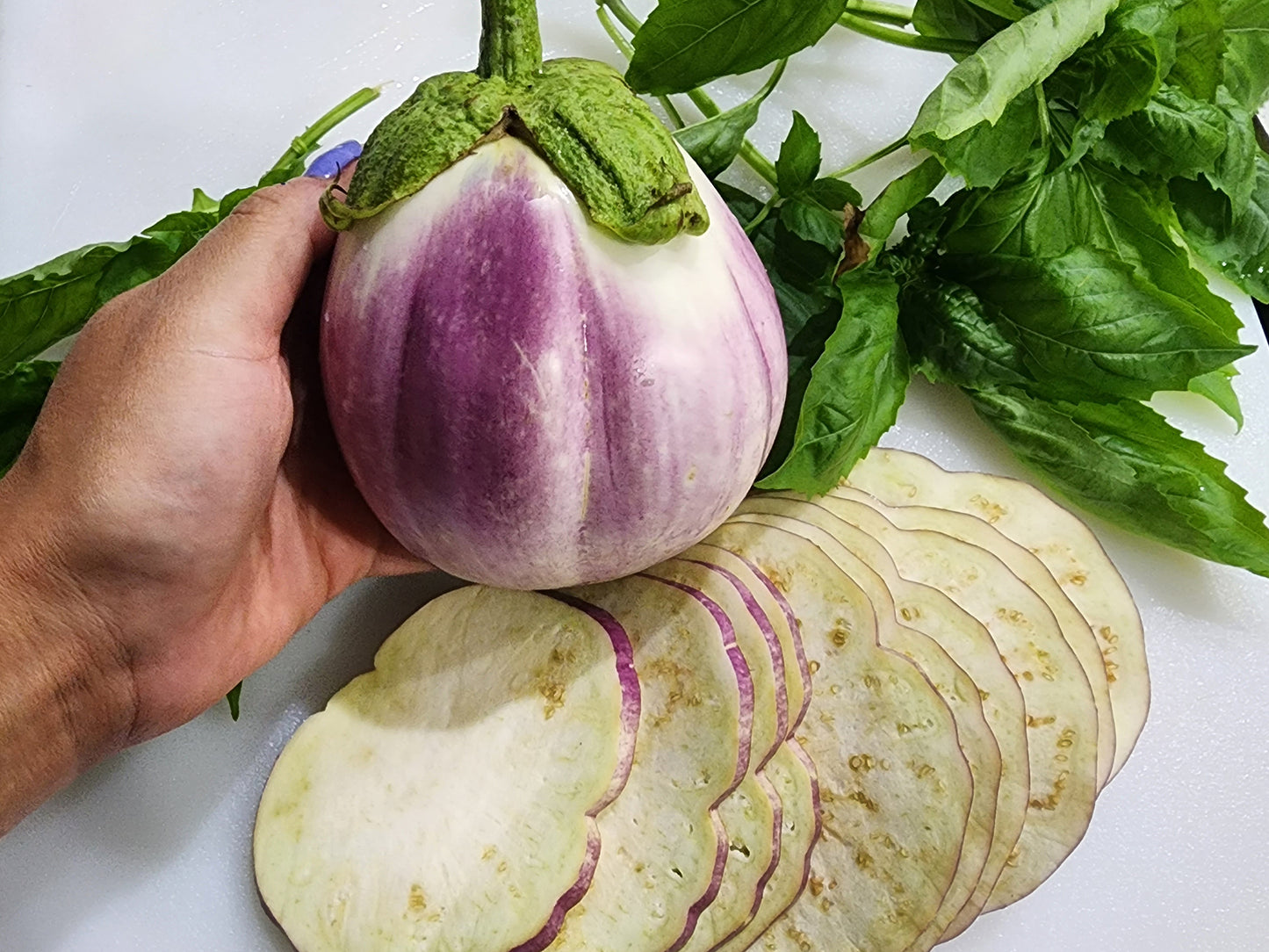 rosa bianca eggplant seeds Rosa Bianca Eggplant