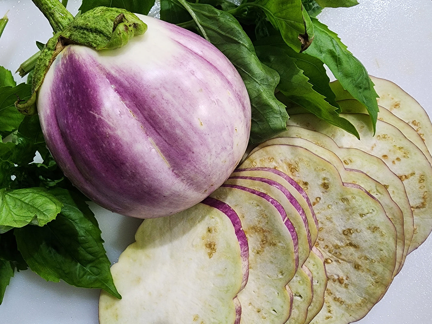 Rosa Bianca Eggplant Seeds